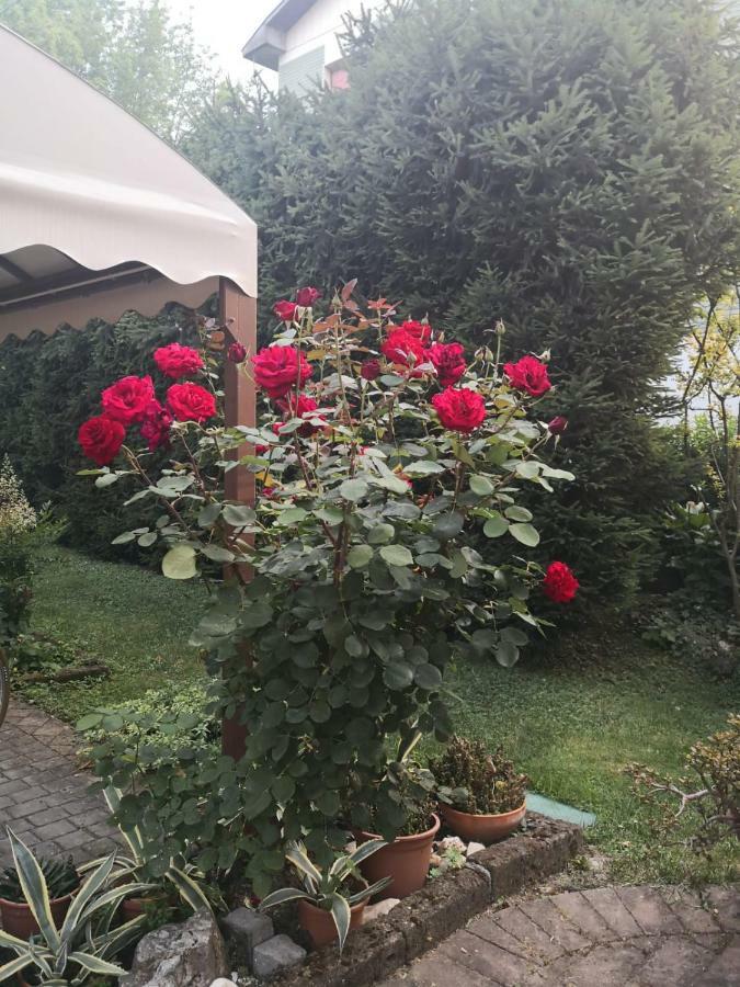 La Casa Di Tino Ξενοδοχείο Fontanellato Εξωτερικό φωτογραφία